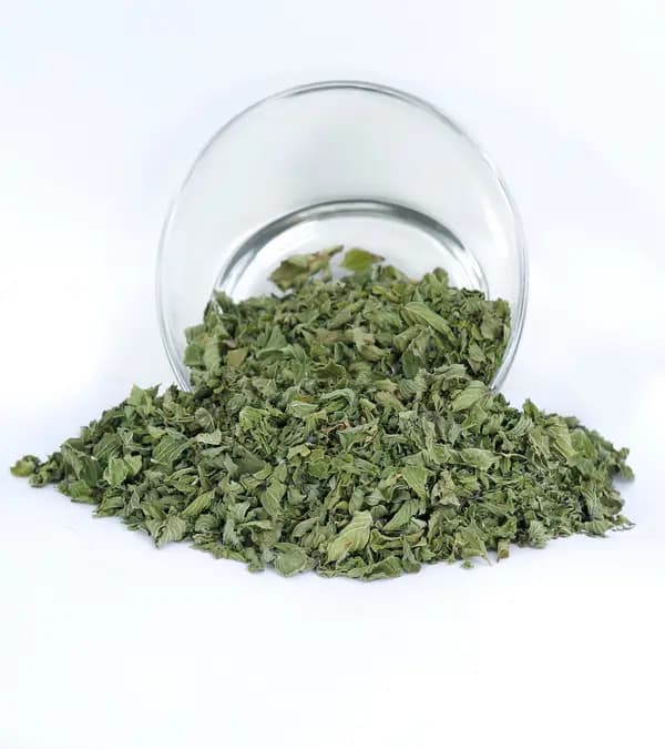 Spearmint