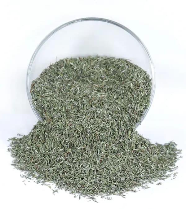 Thyme
