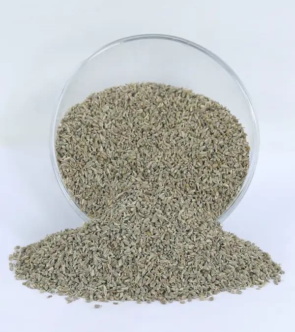 Aniseeds