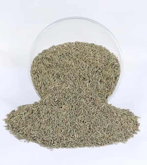 Cumin Seeds