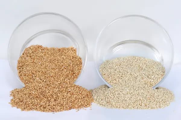 Sesame Seeds
